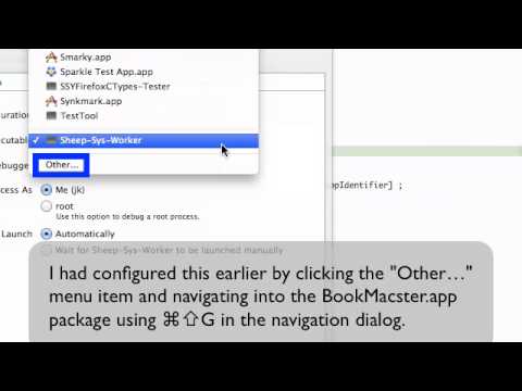 how to enable nszombieenabled in xcode 5