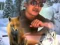 WALI BY ANDIKA