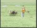 Campeonato Brasileiro de C�es de Pastoreio 2007