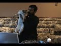 Uncle Chat Season 3 Promo