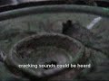 speaker fun