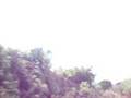 RUTA TUNELES