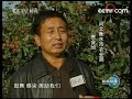 【喜迎十七大】认真十七大学报告　岗位做贡献