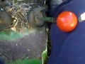 Doble embrague John Deere 2035