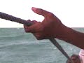 Alto mar 2