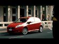 Mauro Vecchi fiat punto