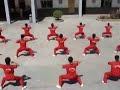 Yuesan bajiquan school
