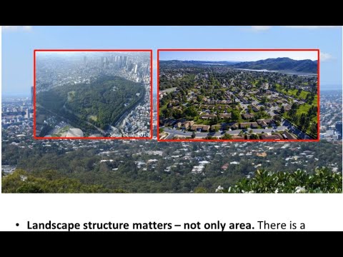 <p>Dull, dreary urban planning results in dull, dreary bird communities</p>
 video thumbnail