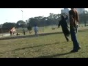 Barriletes se remontan solos