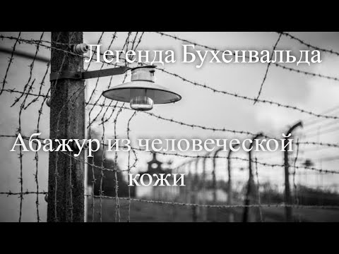 Абажур из человеческой кожи