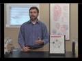 Traditional Chinese Medicine Diagnostics : Traditional Chinese Medicine: Pain Diagnostics