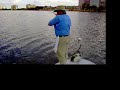 Peacock comes to hand.MOV
