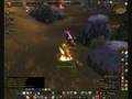 videos de Paladin pvp old stuff
