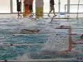 Il pompa commentato dallo smilzo Il pompa commentato dallo smilzo