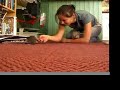 Rats having fun