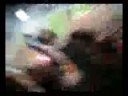 ??????-??????????(????????? LIVE)