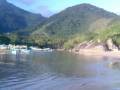 videos de canoa chegando