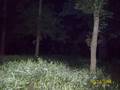 videos de Indiana Cabin Results