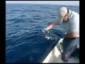 Vertical jigging, AJ 28.5 kg Vertical jigging, AJ 28.5 kg