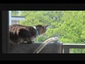 ホームビルダー 0001