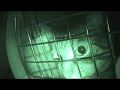 Crying cats - Gatti che piangono e urlano