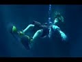 angels-fall-first.html