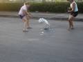 videos de Momento Amy winhouse