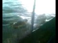 Duck1 Duck1