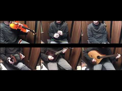 動画