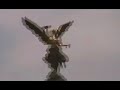 la sexta otra campaña    zocalo mexico df 1ero de mayo #1de3