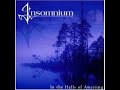 Insomnium - Journey Unknown