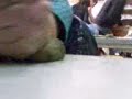 stupidate di 1°P (w le stronzate della scuola dei lesi)