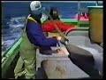 Fishing Brown\ Fishing Brown\