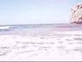 Surfeando con Caballa