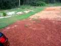 traxxas nitro rustler