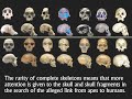 Human Evolution?