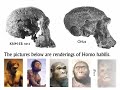 Human Evolution?