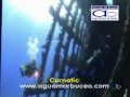 Pecios Mar Rojo.wmv