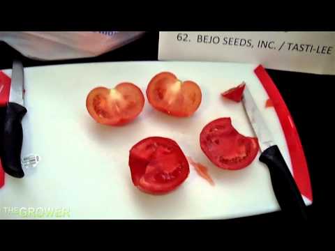 how to ripen tomatoes on the vine