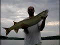 Kool Aid Muskie
