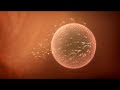 Super Sperm Super Sperm