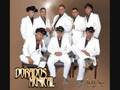 Dorados Musical Te Quiero Official Music Video and Lyrics