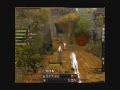 Warhammer White Lion RvR