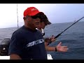 Tiger Shark Capture and Release (Myrtle Beach, SC)