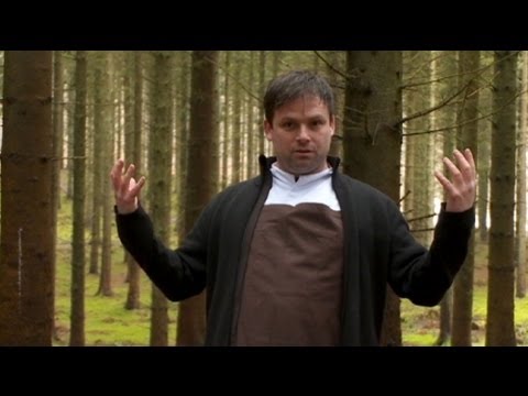 Euronews - http://www.euronews.com/ In this edition of Terra Viva, we are going to talk about Nordic cuisine. But not the traditional liver pate or caviar. In Scandinav...