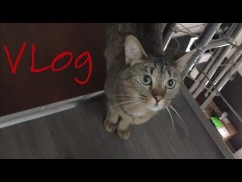 Vaylog n°10 - Hall of games, Nouveau PC, news
