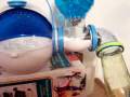 Bruce the hamster explores HIS space pod