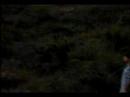 soda-komo-si-n-sospechosos-habituales-.html