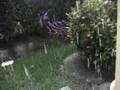 Extreme Rain Storm
