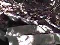 DISCARICHE DI AMIANTO SUL CARSO